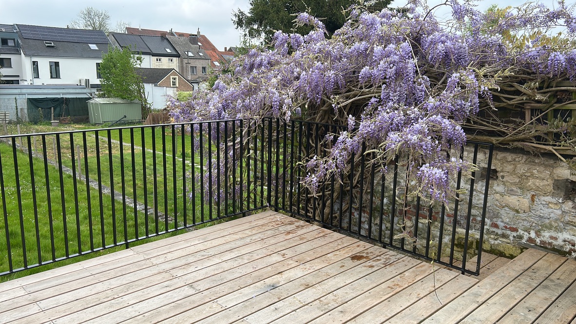 hout